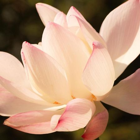 스톤 하우스 홈스테이 Yilan 외부 사진