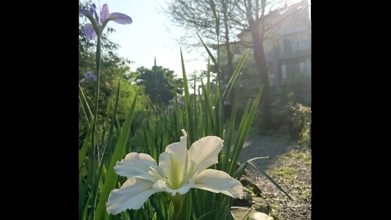 스톤 하우스 홈스테이 Yilan 외부 사진